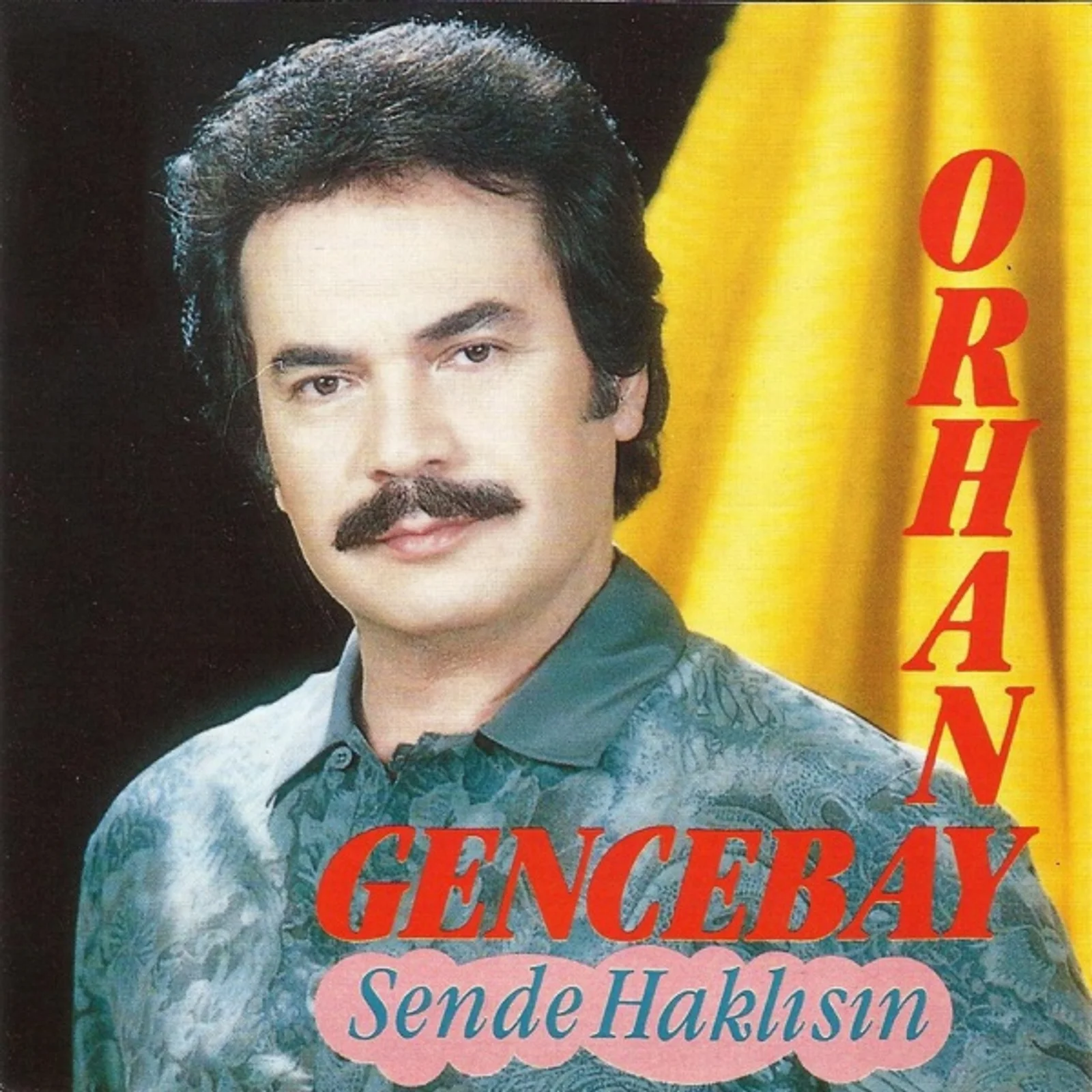Sen De Haklısın (1992) cover