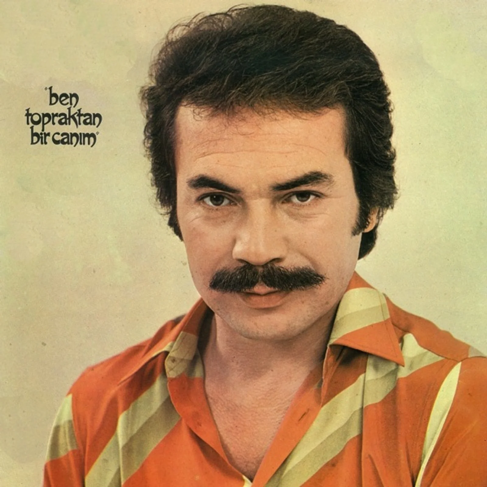 Ben Topraktan Bir Canım (1981) cover