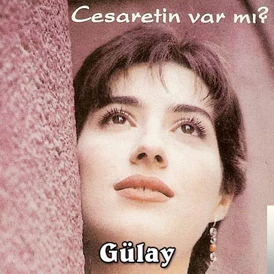 Cesaretin Var mı Aşka (1995)