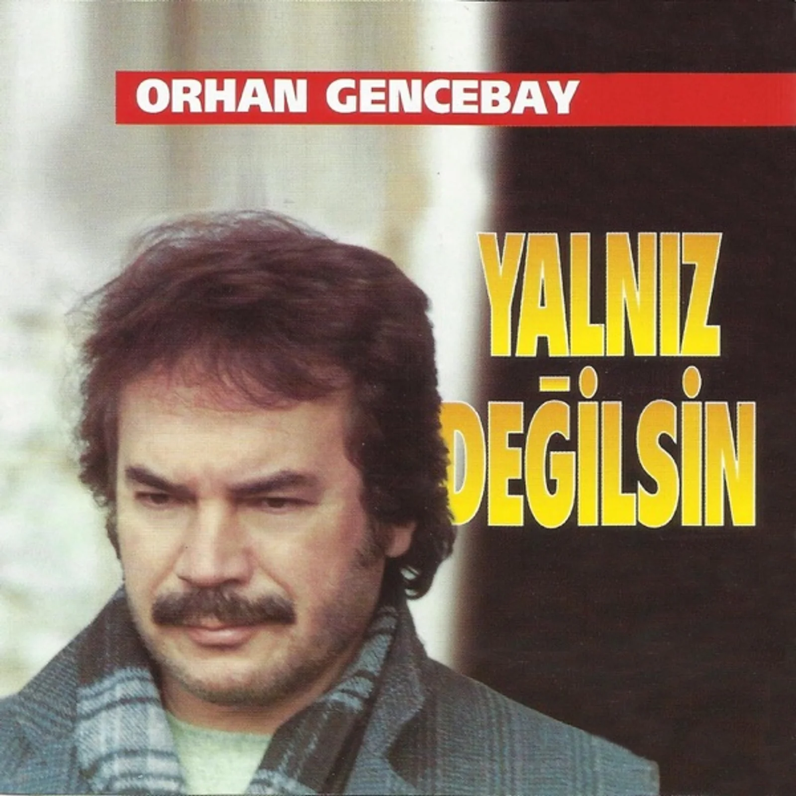 Yalnız Değilsin (1994) cover