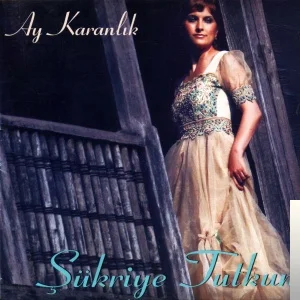 Ay Karanlık (2010)