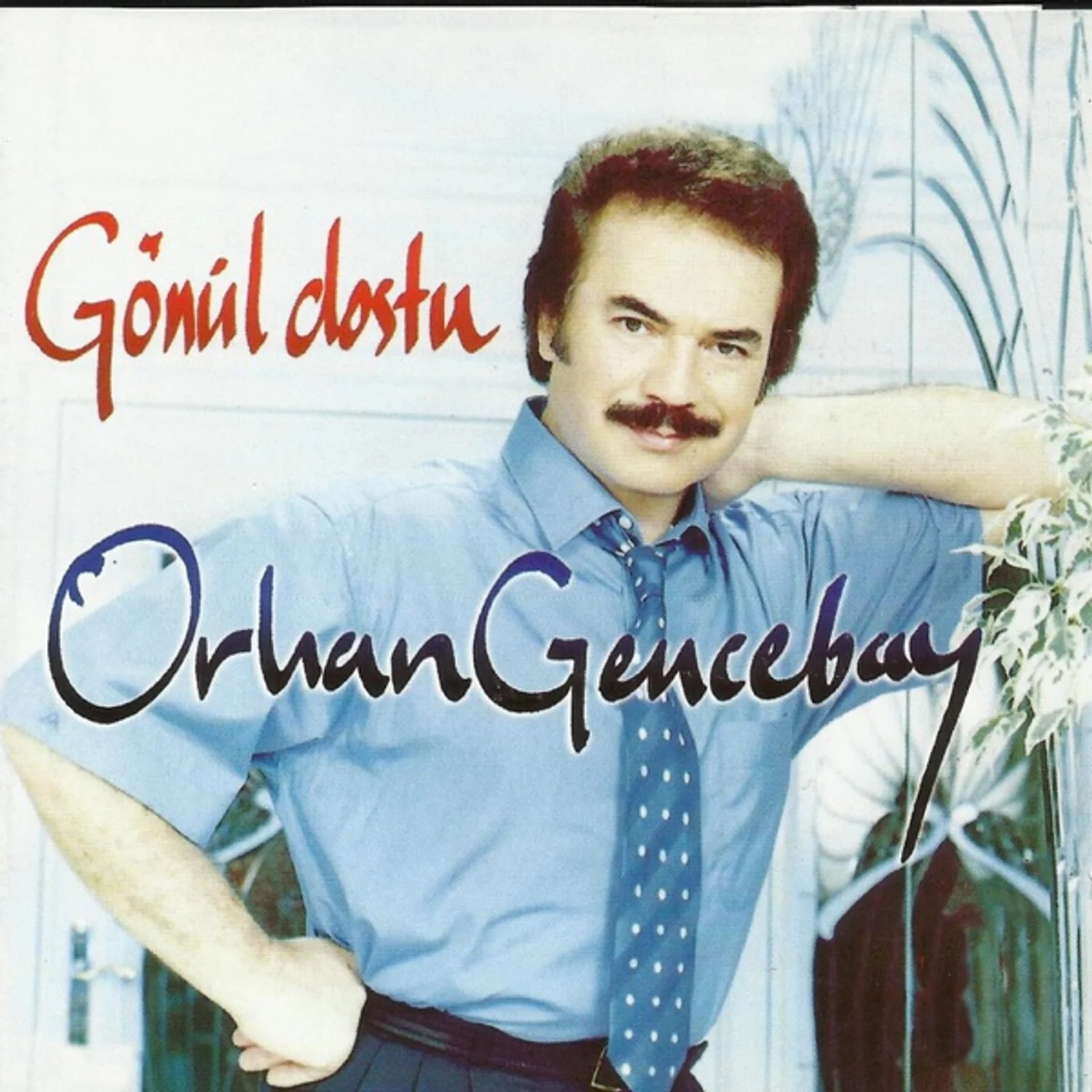 Gönül Dostu (1995) cover
