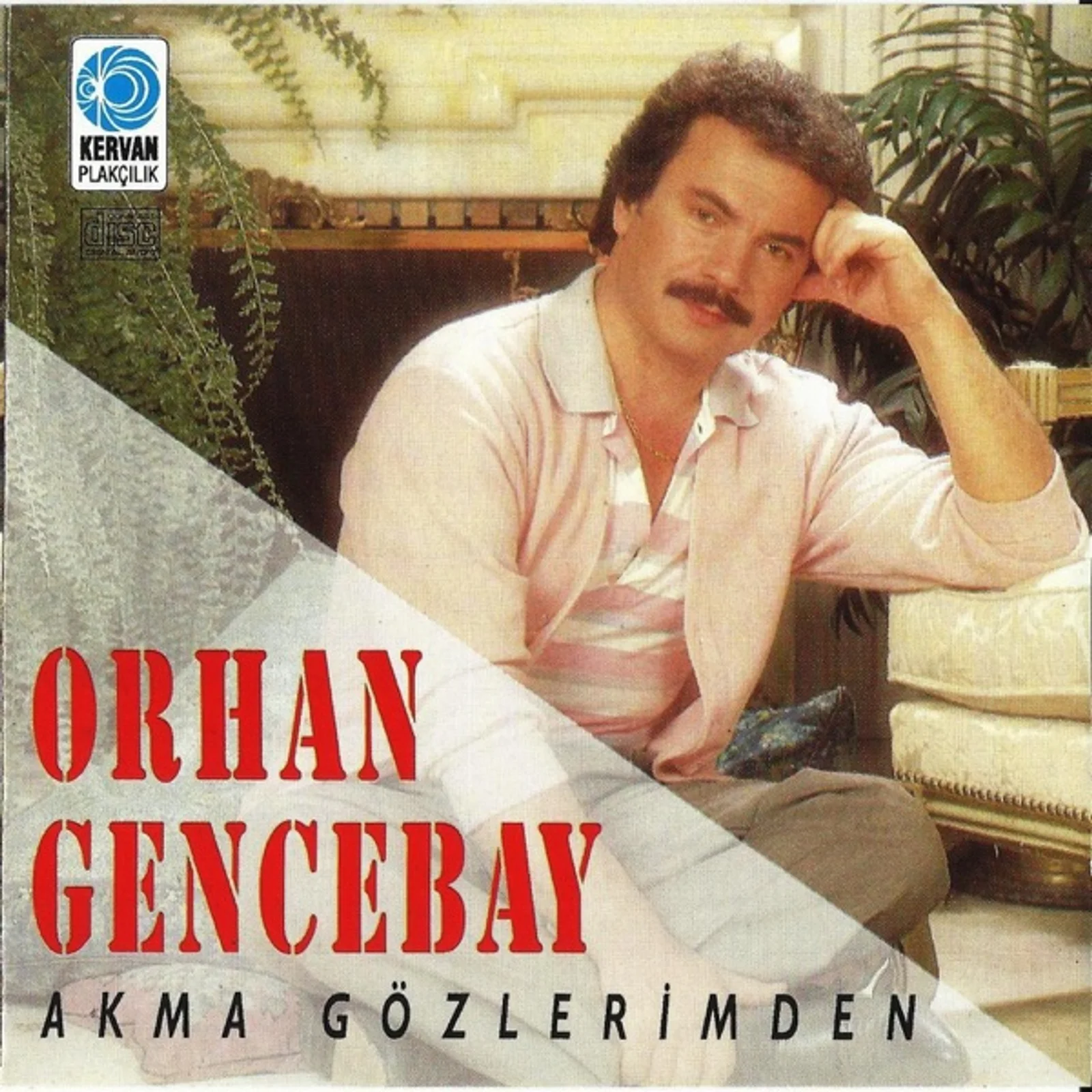Akma Gözlerimden (1987) cover