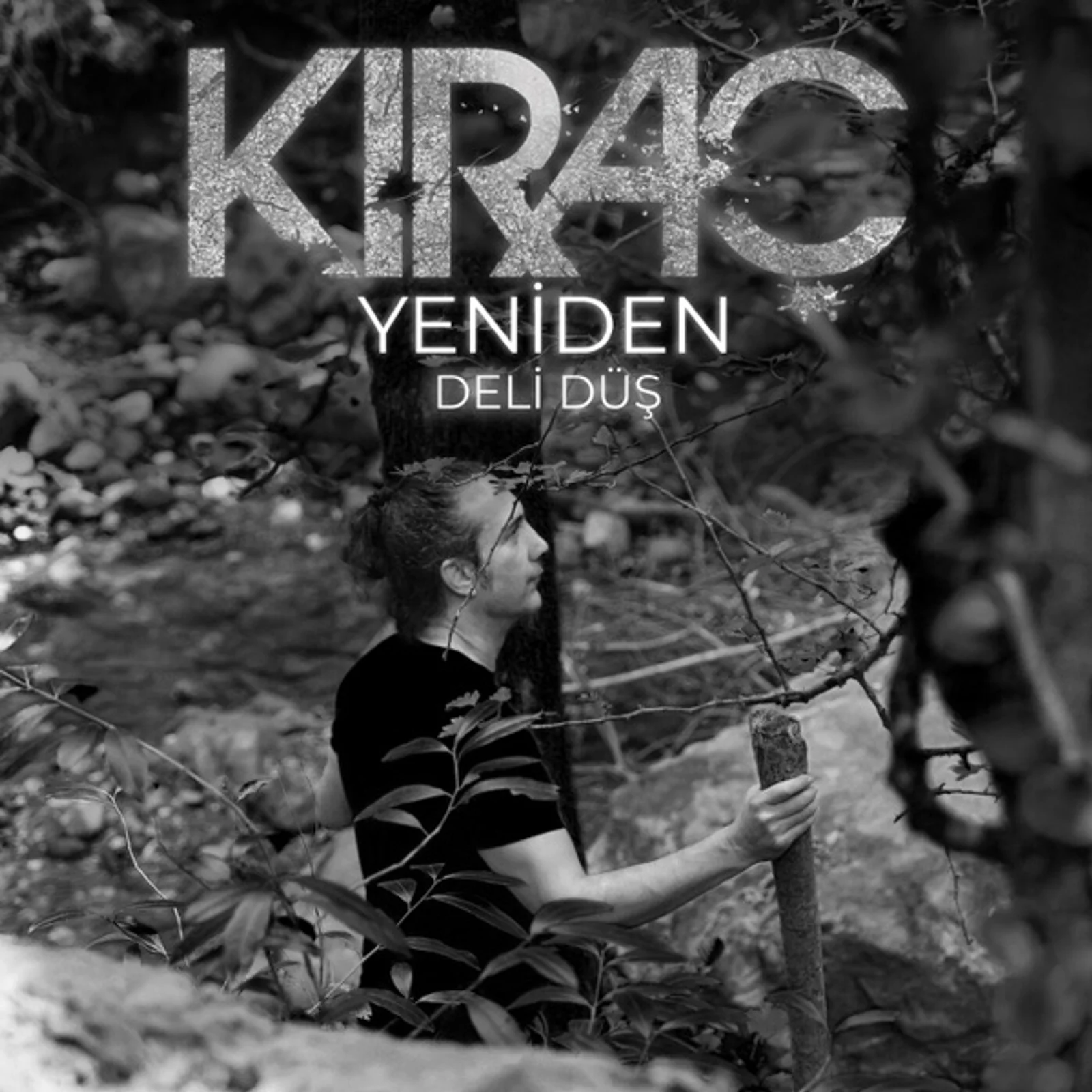 Deli Düş (1998) cover