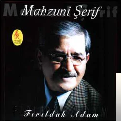 Fırıldak Adam (2001) cover