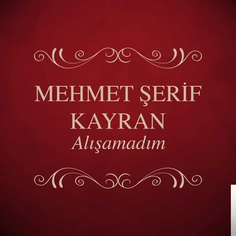 Alışamadım (2014) cover