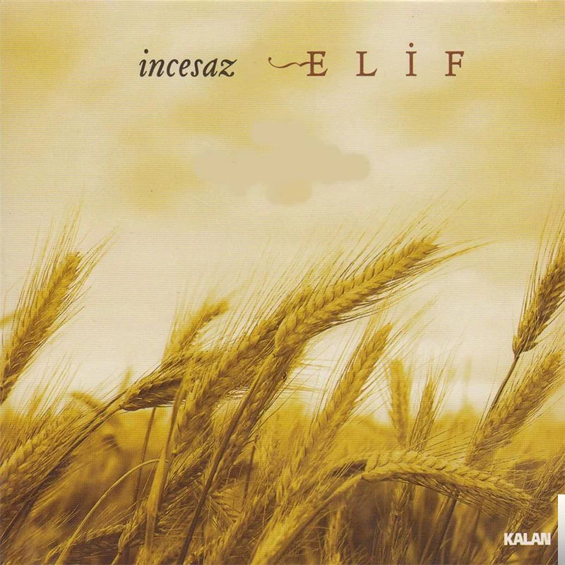 Elif (2006) cover