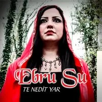Te Nedit Yar (2016)