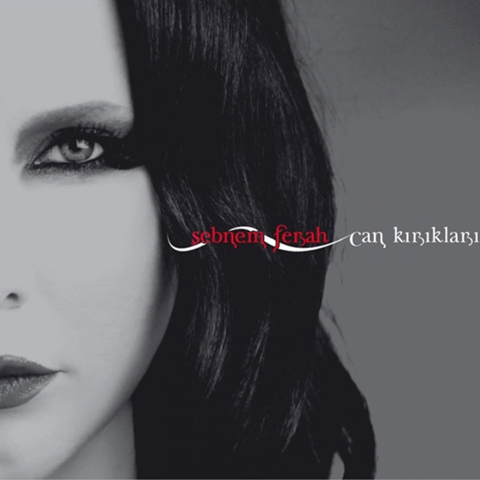 Can Kırıkları (2005) cover