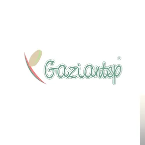 Gaziantep Şarkıları Türküleri cover