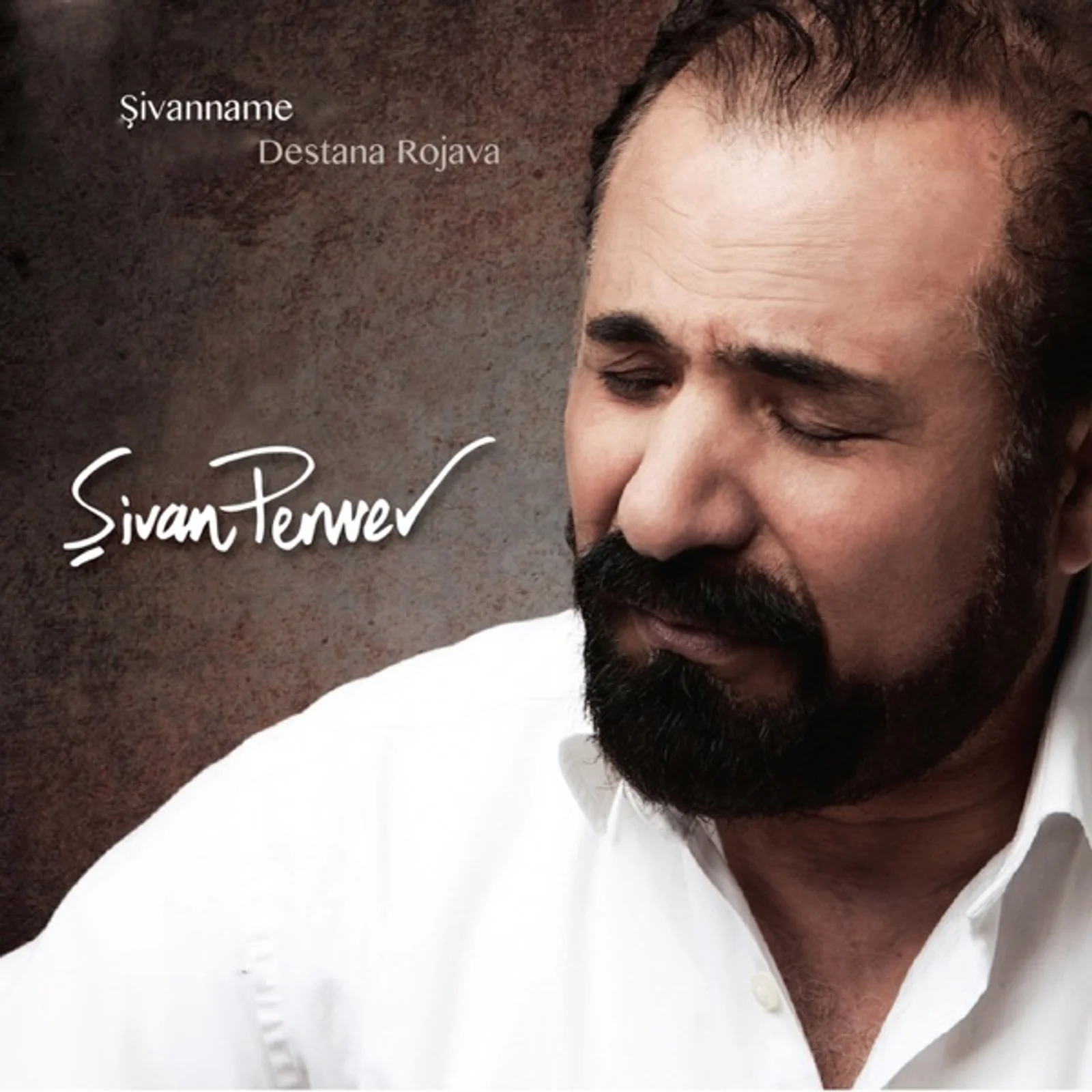 Şivanname (2013)