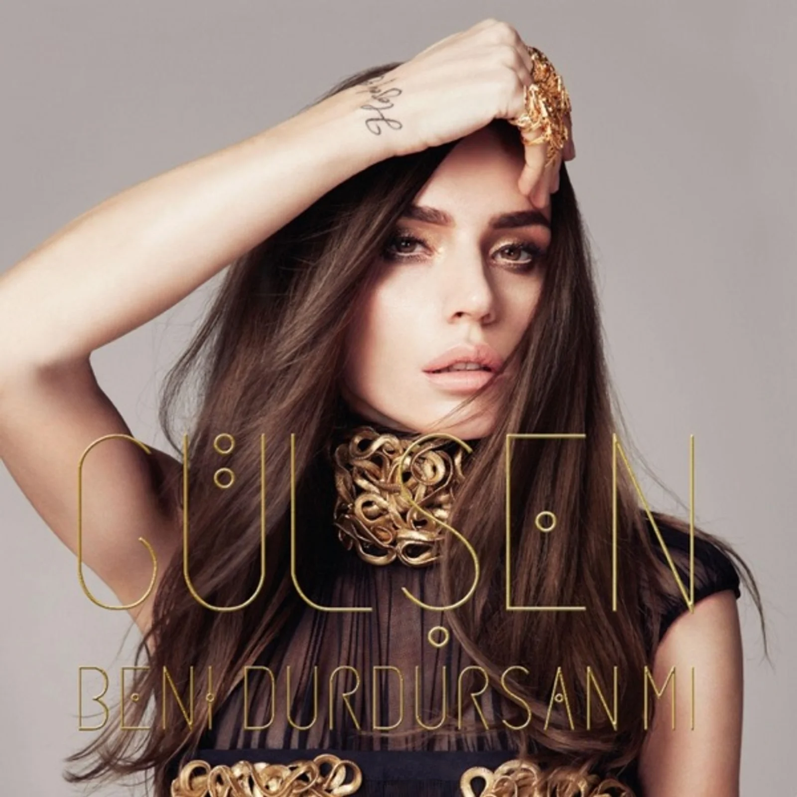 Beni Durdursan mı (2013)