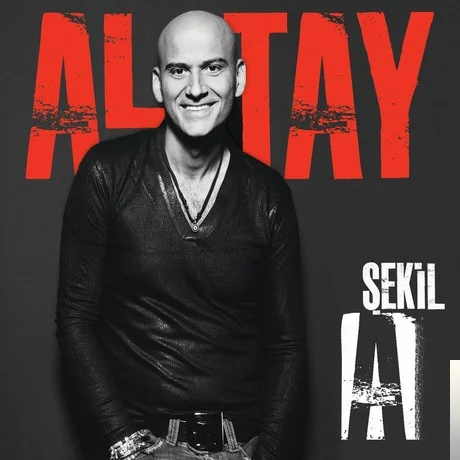 Şekil A (2010)