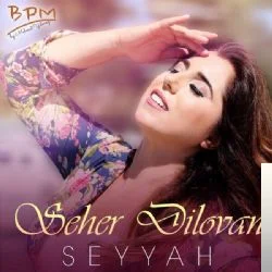Seyyah (2018) cover