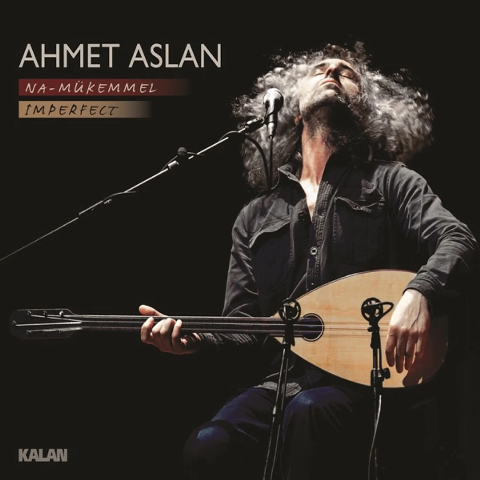 Na-Mükemmel (2015)