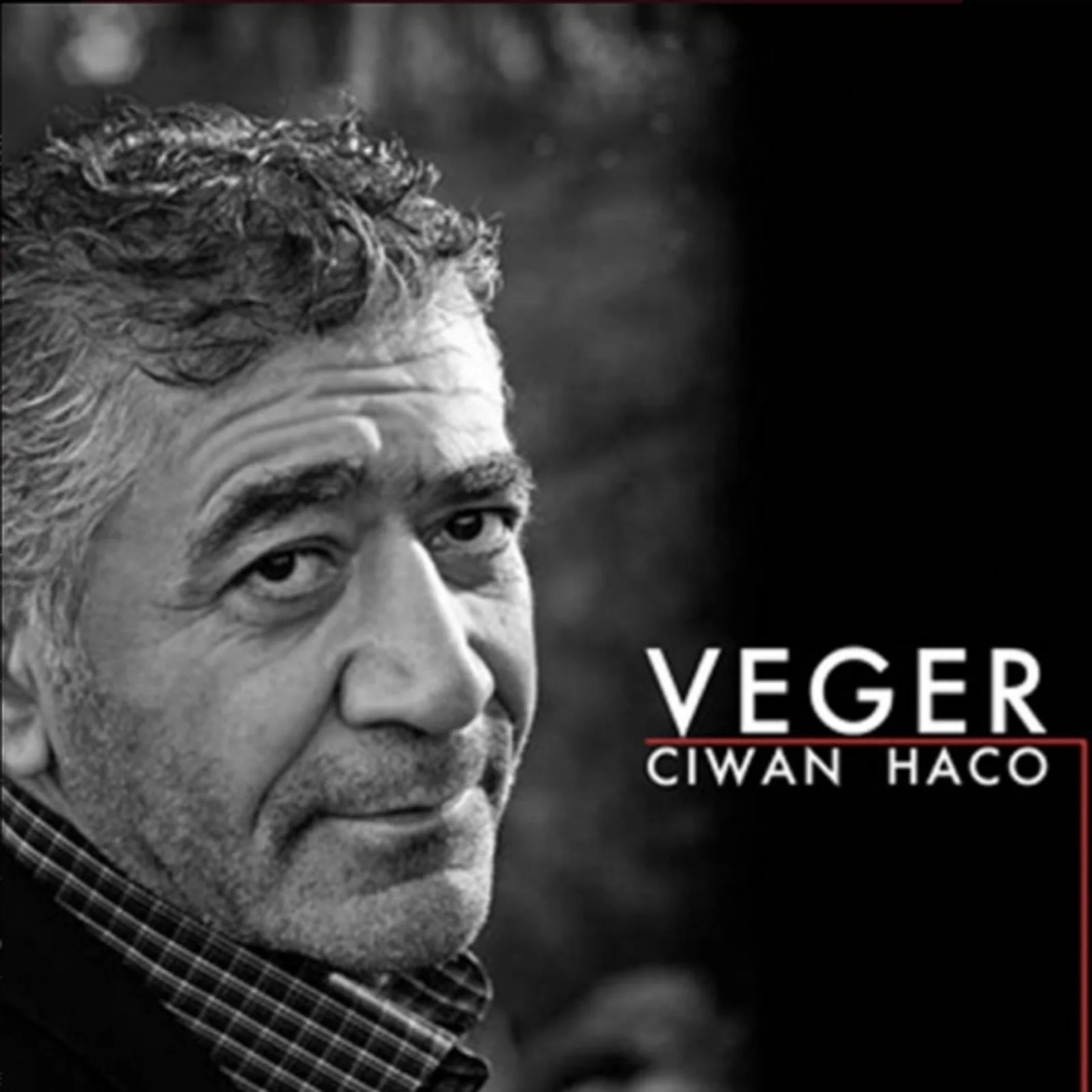 Veger (2012)