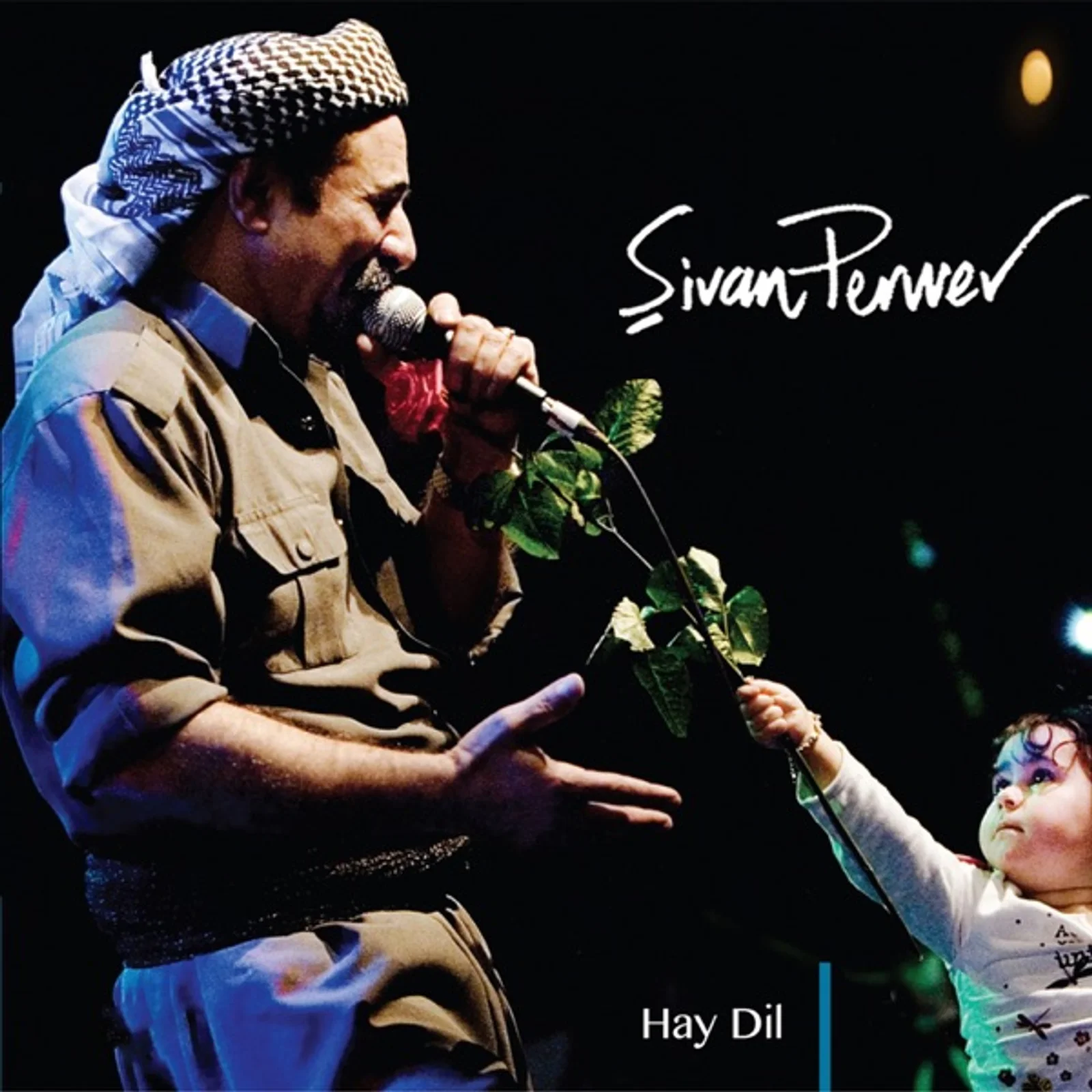 Hay Dil (1980)