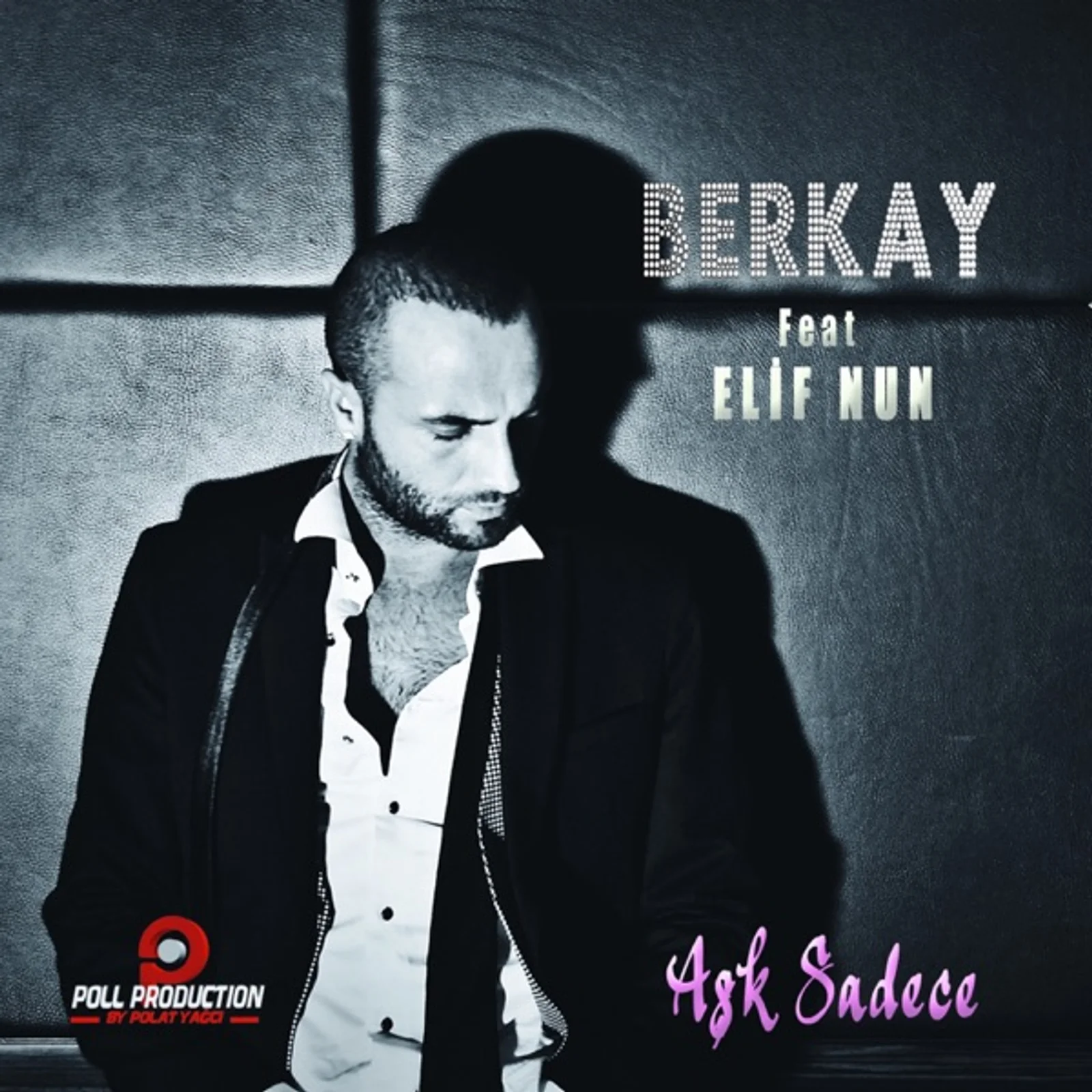 Aşk Sadece (2012)