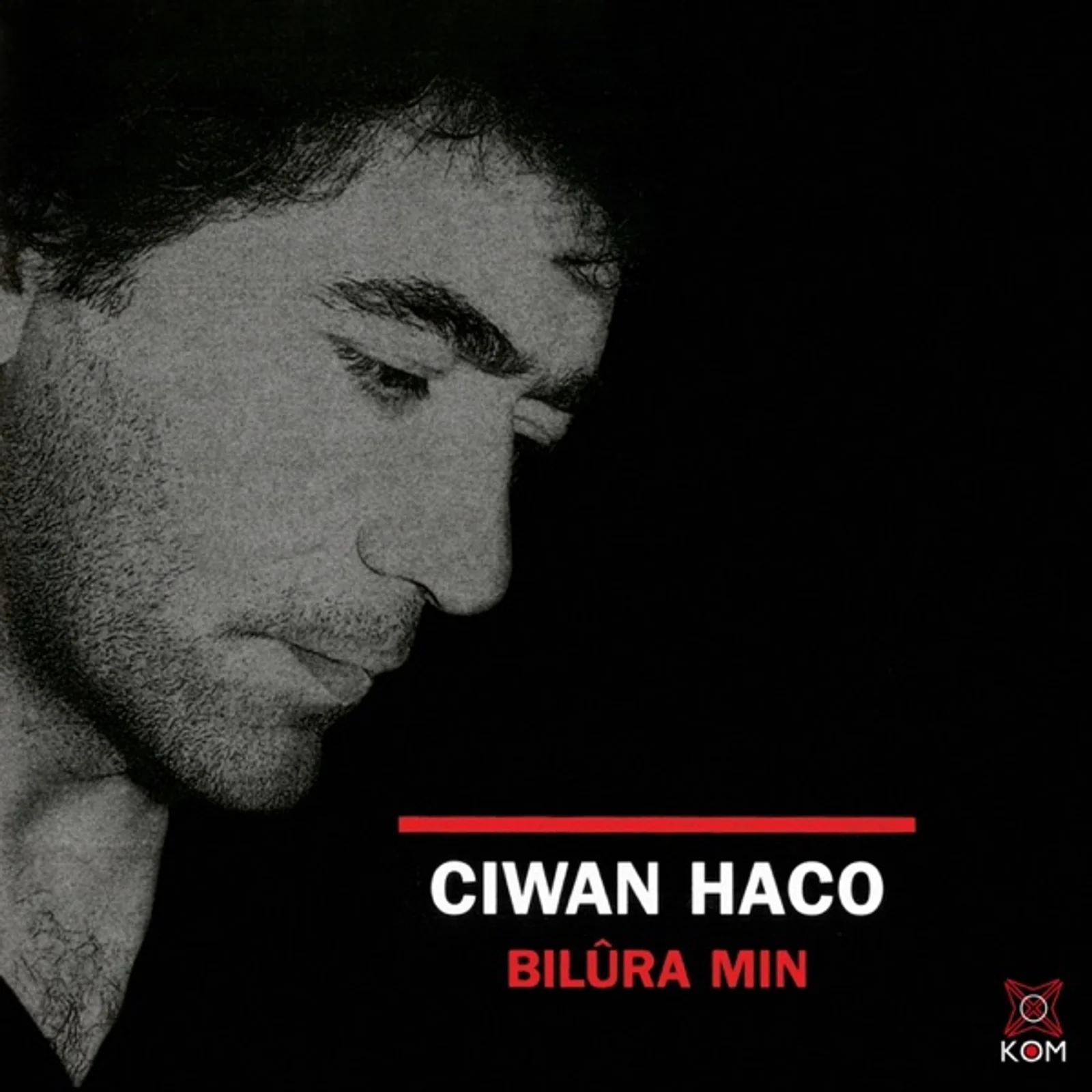 Biluramin (1997)