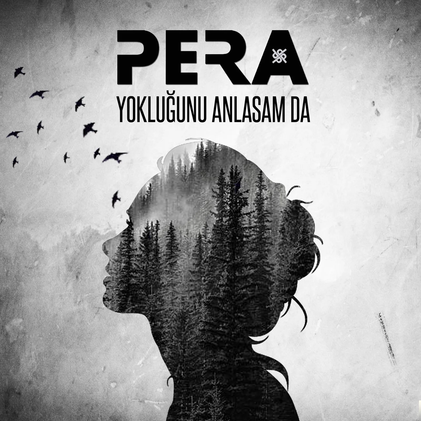 Yokluğunu Anlasam Da (2018)