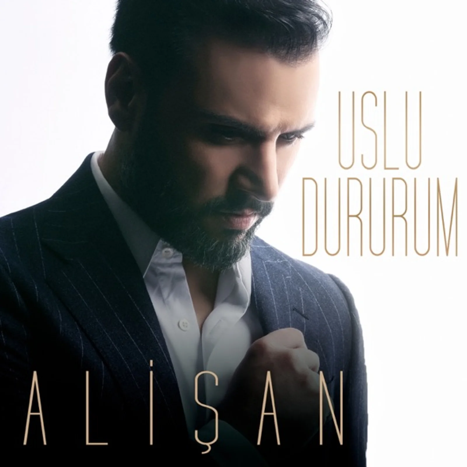 Uslu Dururum (2017)