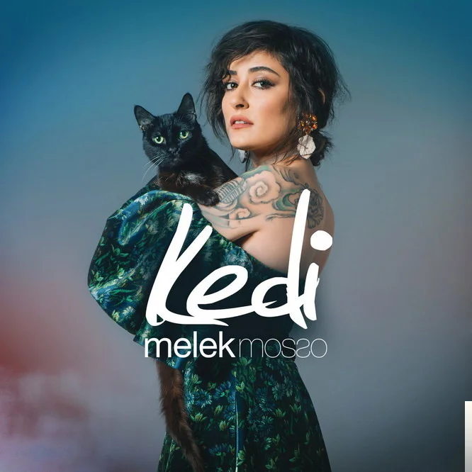 Kedi (2018)