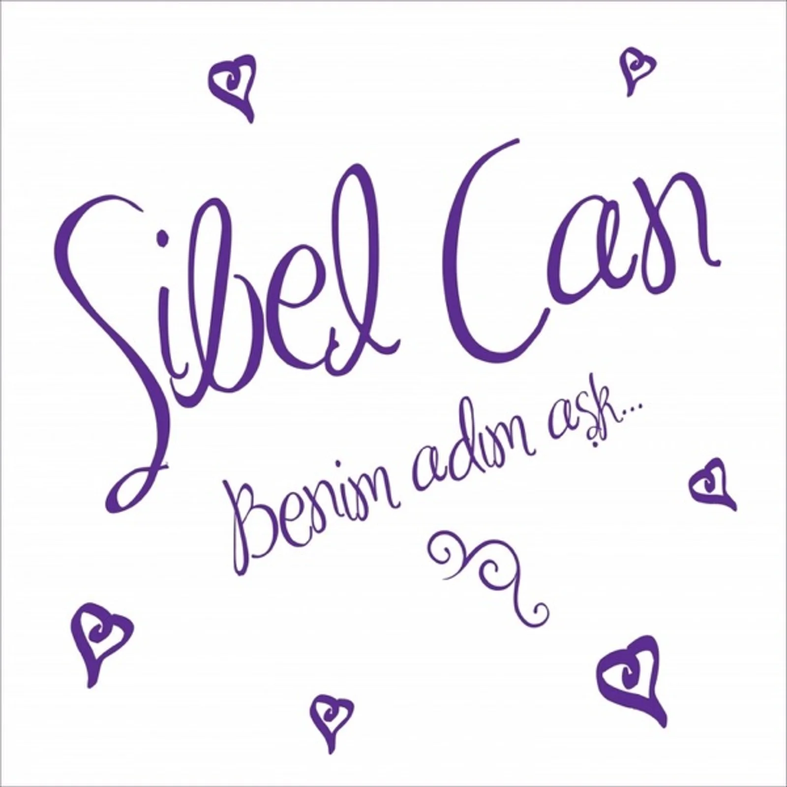 Benim Adım Aşk (2009) cover