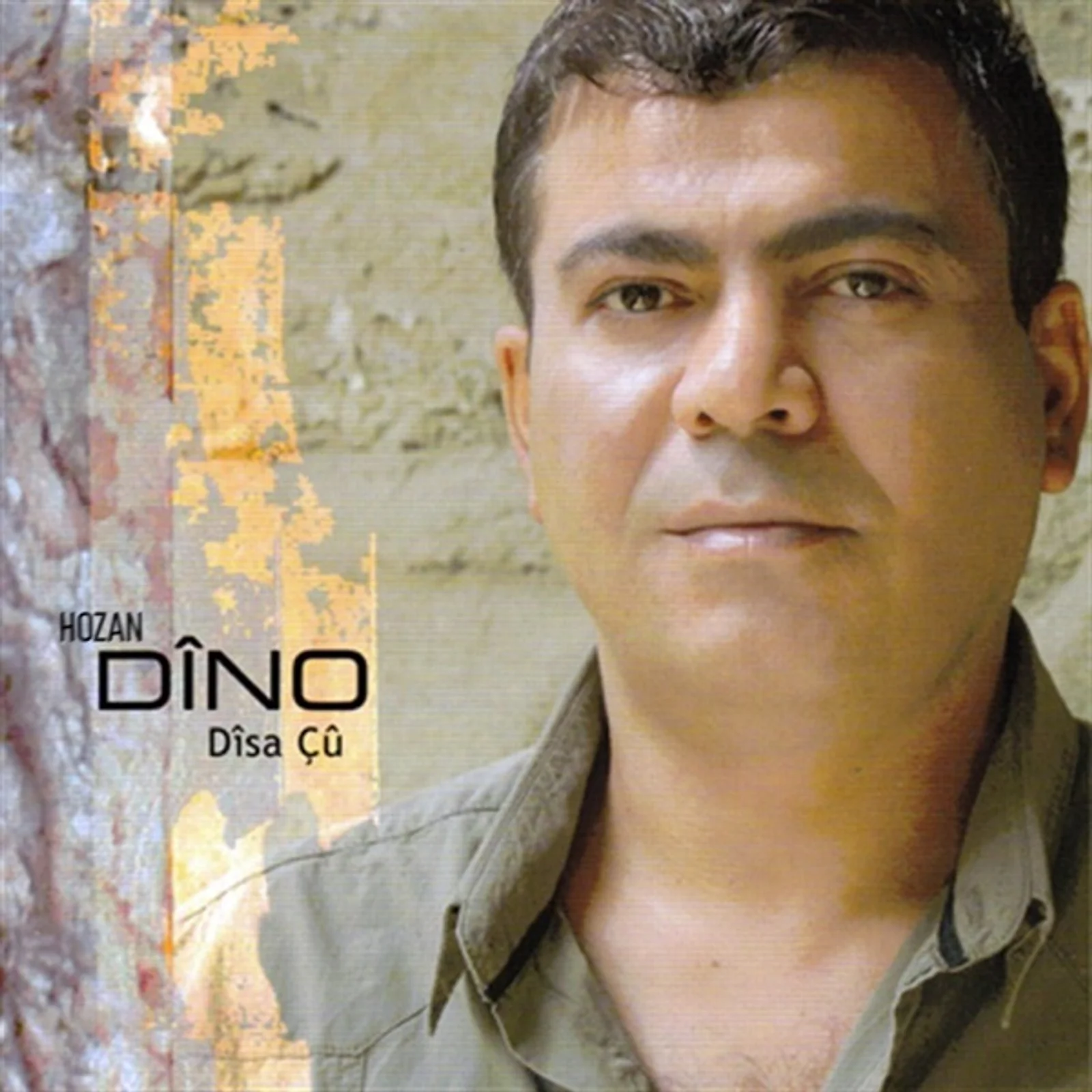 Disa Çu (2010) cover