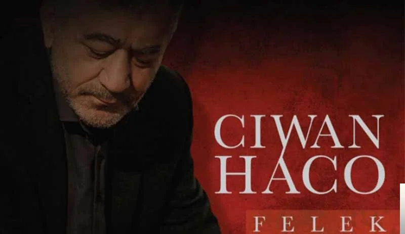 Felek (2018)