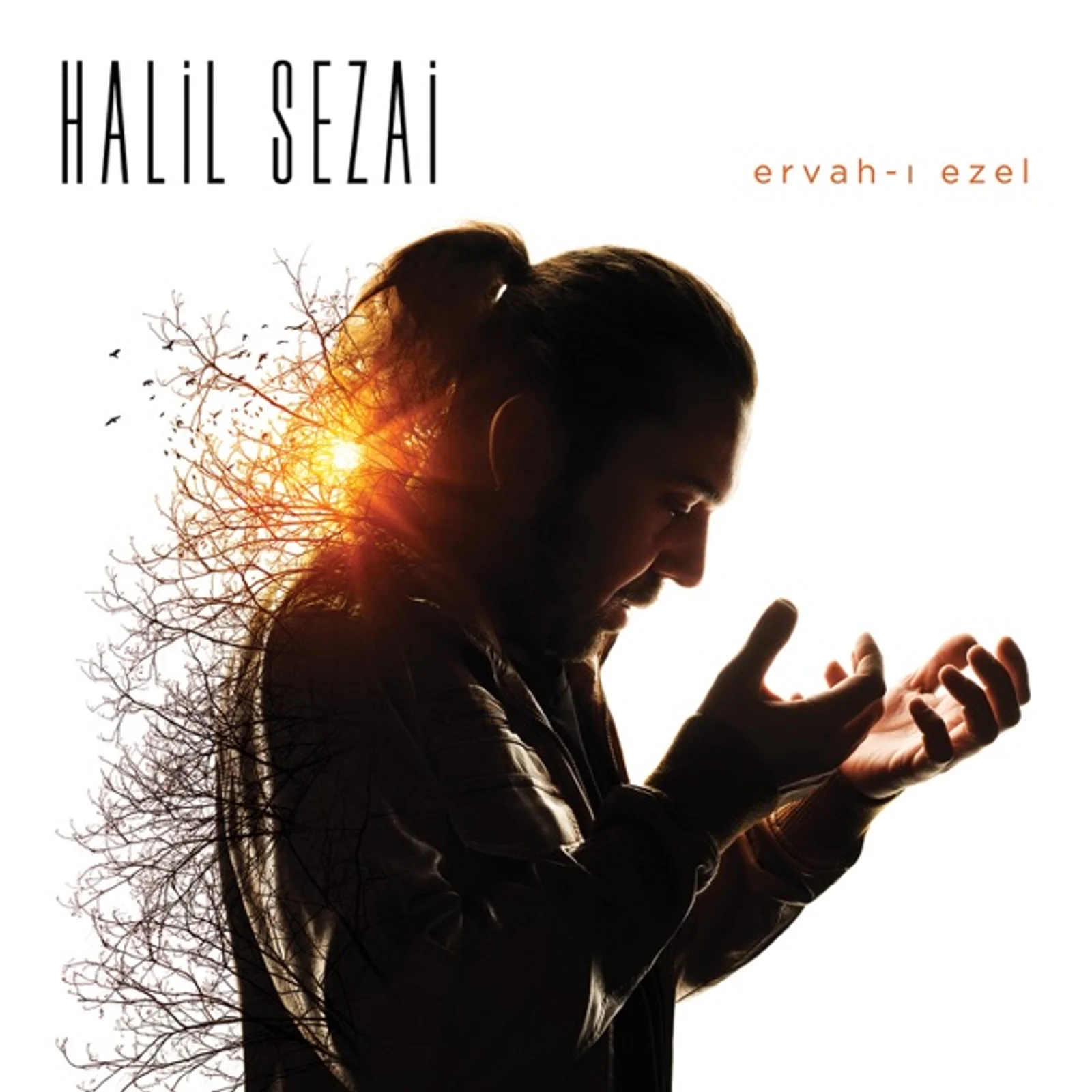 Ervah-ı Ezel (2015) cover