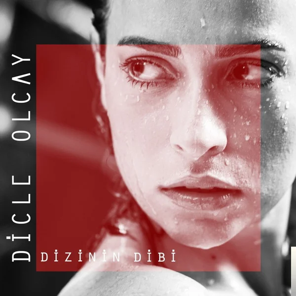 Dizinin Dibi (2018)