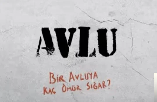 Avlu
