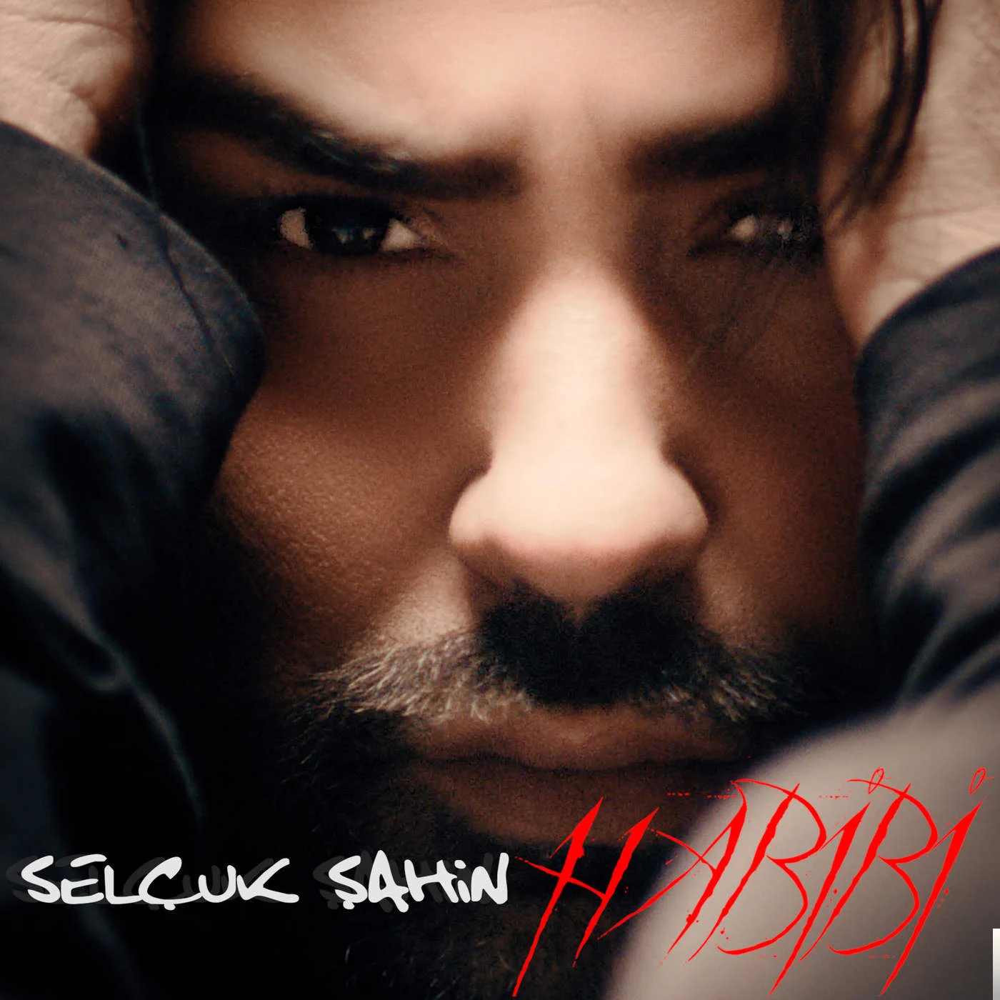 Habibi (2018) cover