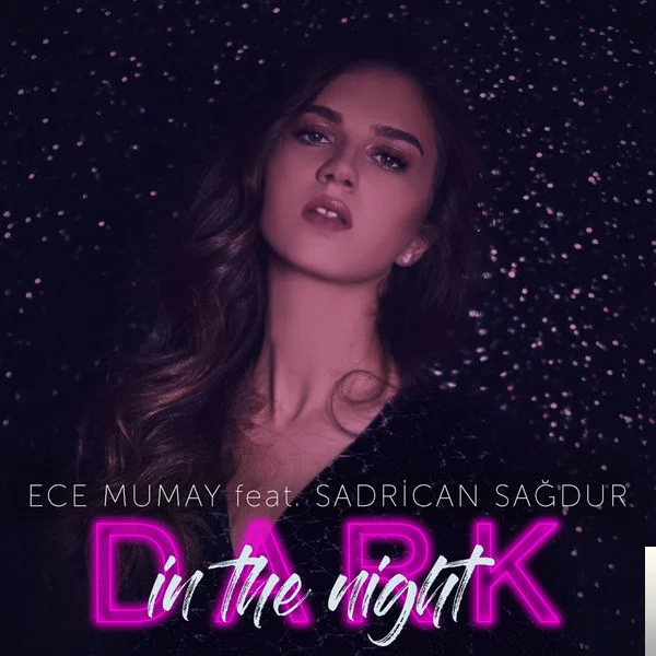 Dark in the Night (2018)