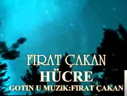 Hücre (2013)
