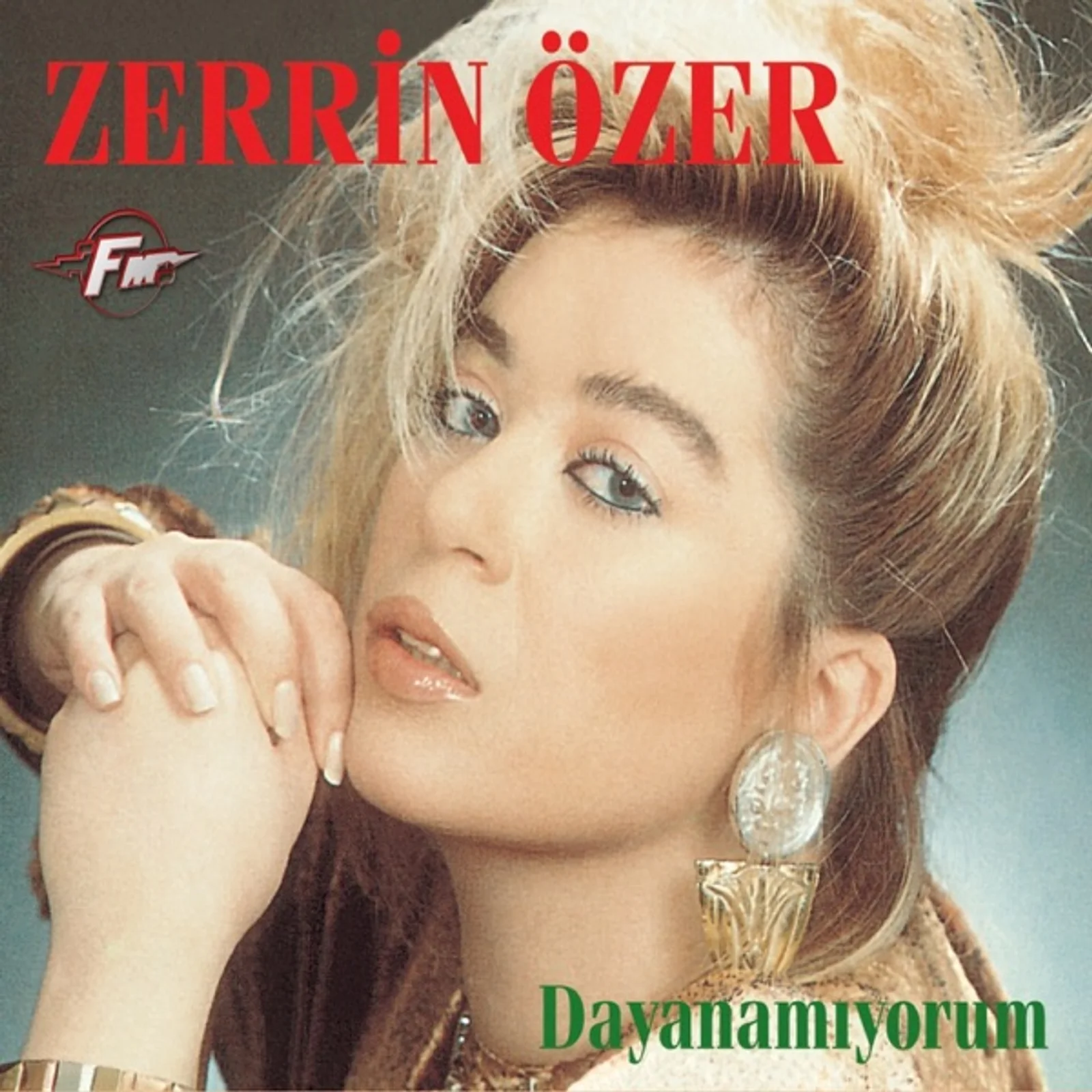 Dayanamıyorum (1987) cover