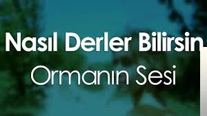 Ormanın Sesi (2018)