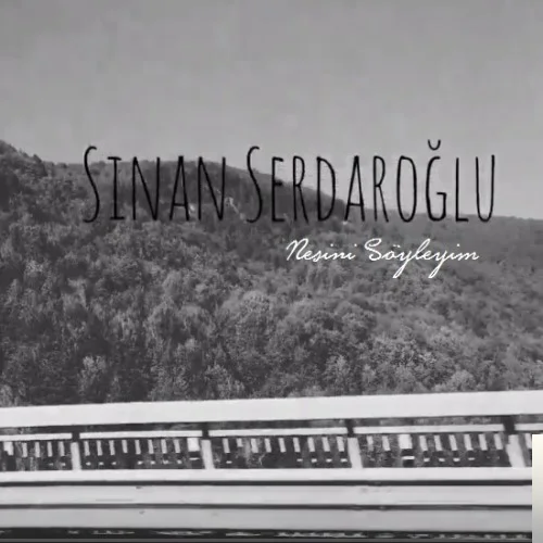 Nesini Söyleyim (2018)