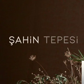 Şahin Tepesi cover