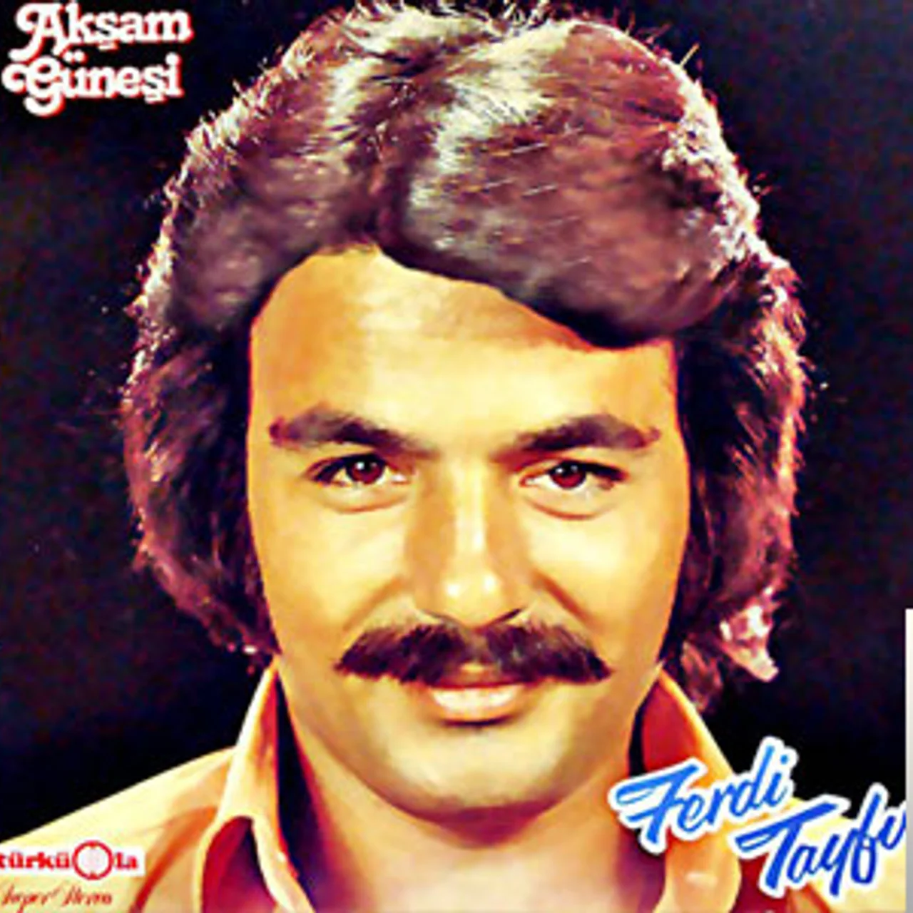 Ferdi Tayfur - Ne Bilirdim ki