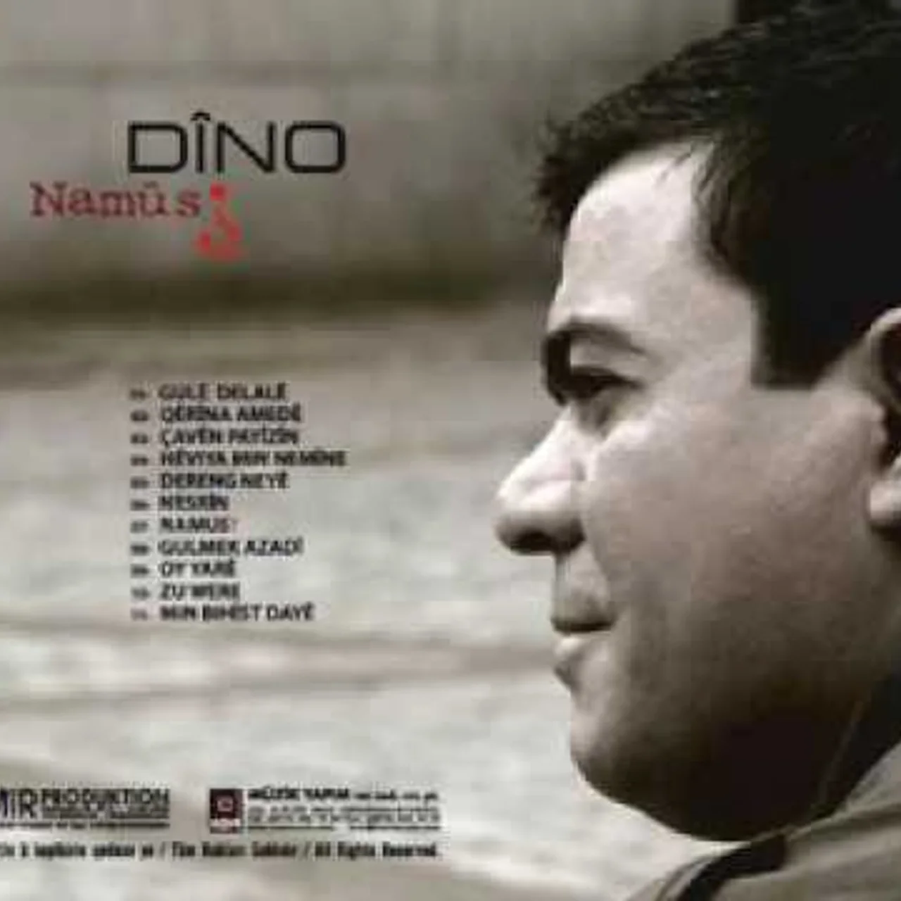 Hozan Dino - Çaven Payizin