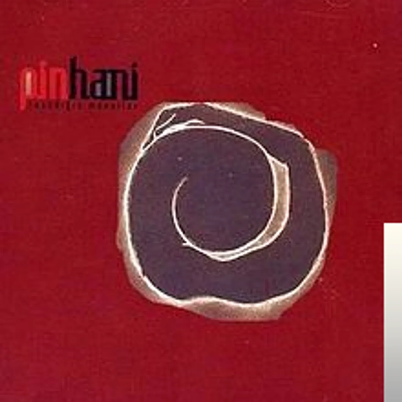 Pinhani - Unutuldular
