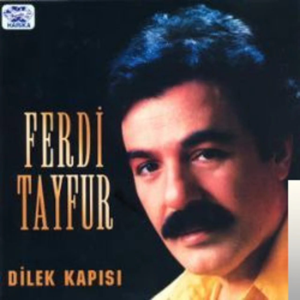 Ferdi Tayfur - Dilek Kapısı