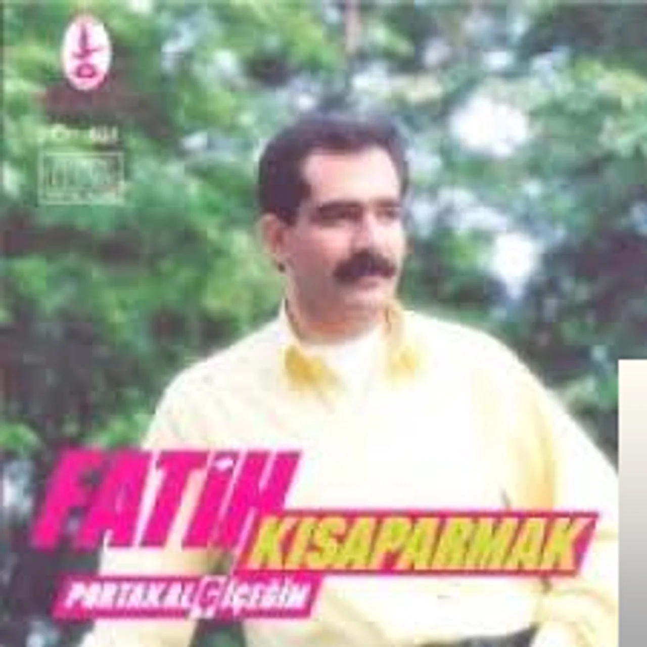 Fatih Kısaparmak - İstanbul