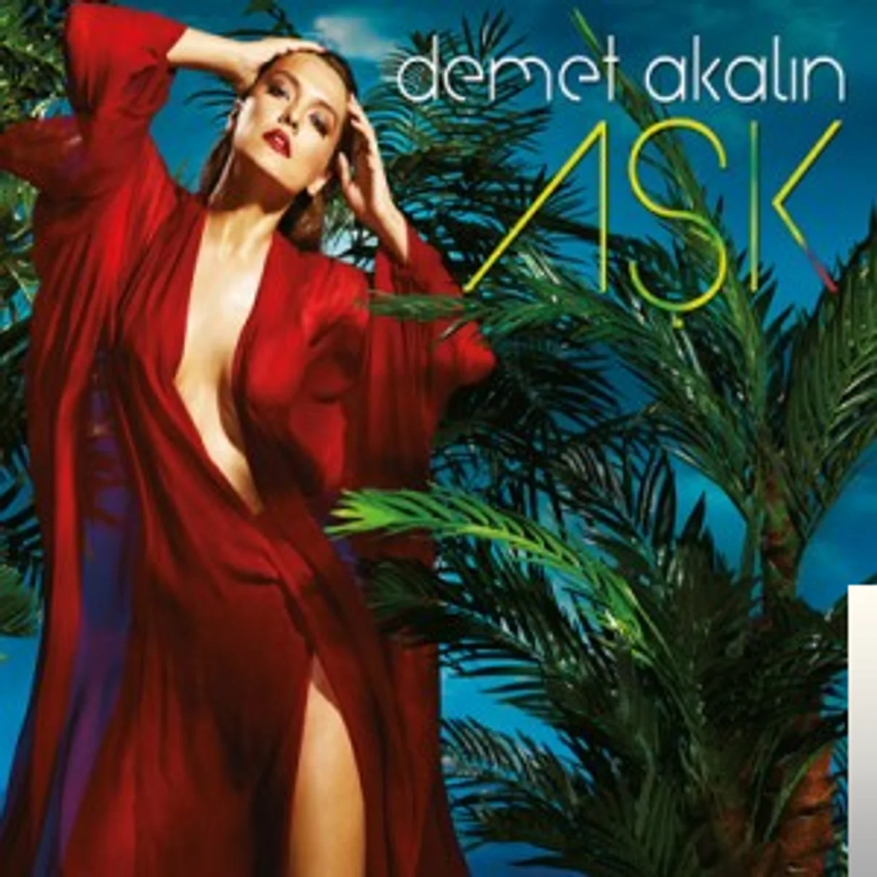 Demet Akalın - Sabıka