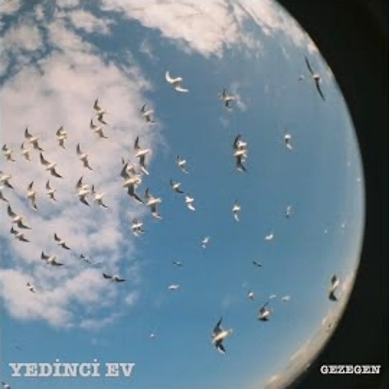 Yedinci Ev - O Olmasa