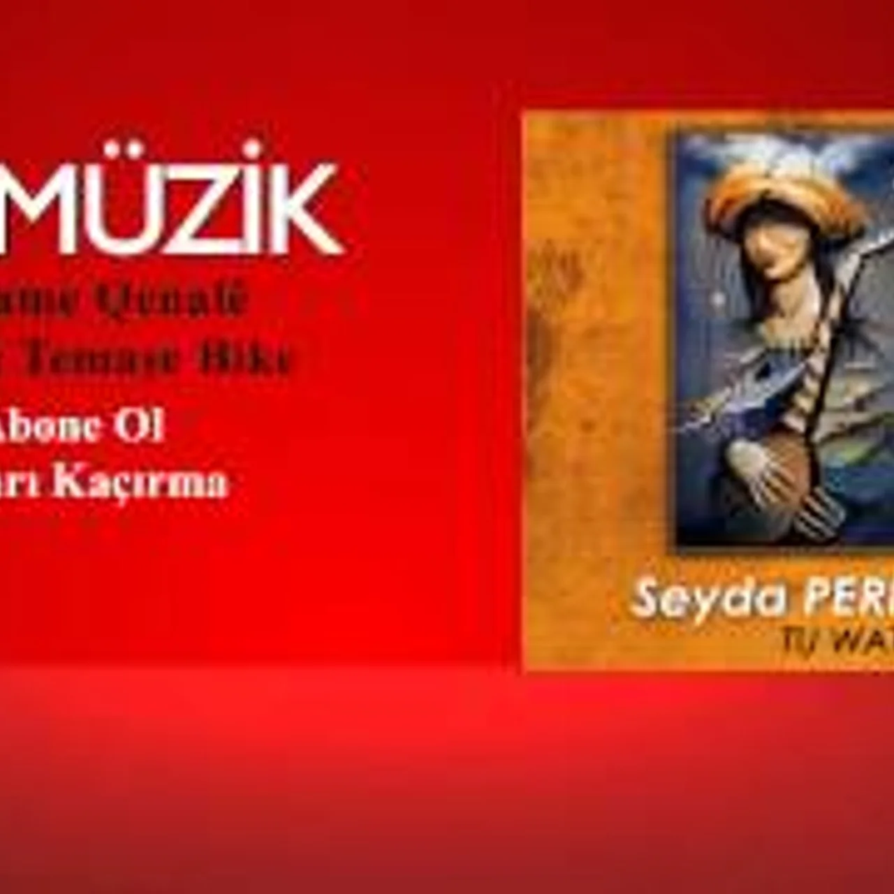 Seyda Perinçek - Negri Çavreşa Mın