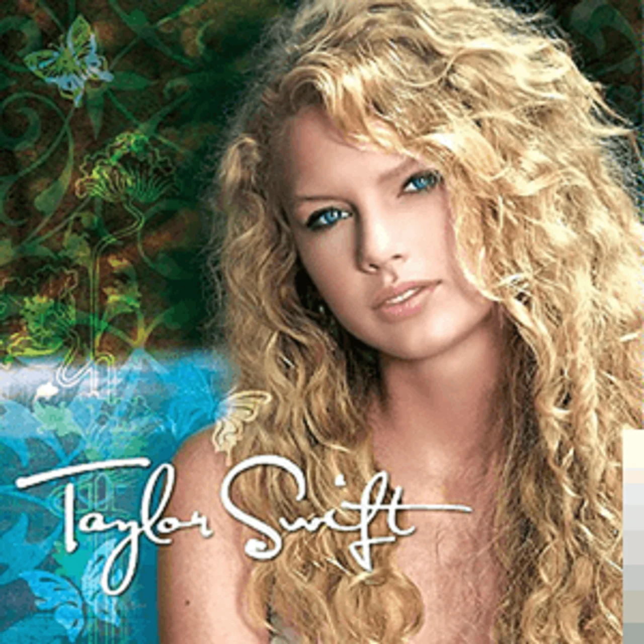 Taylor Swift - Teardrops On My Guitar