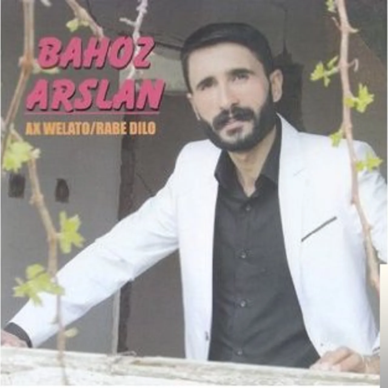 Bahoz Arslan - Korkmadık