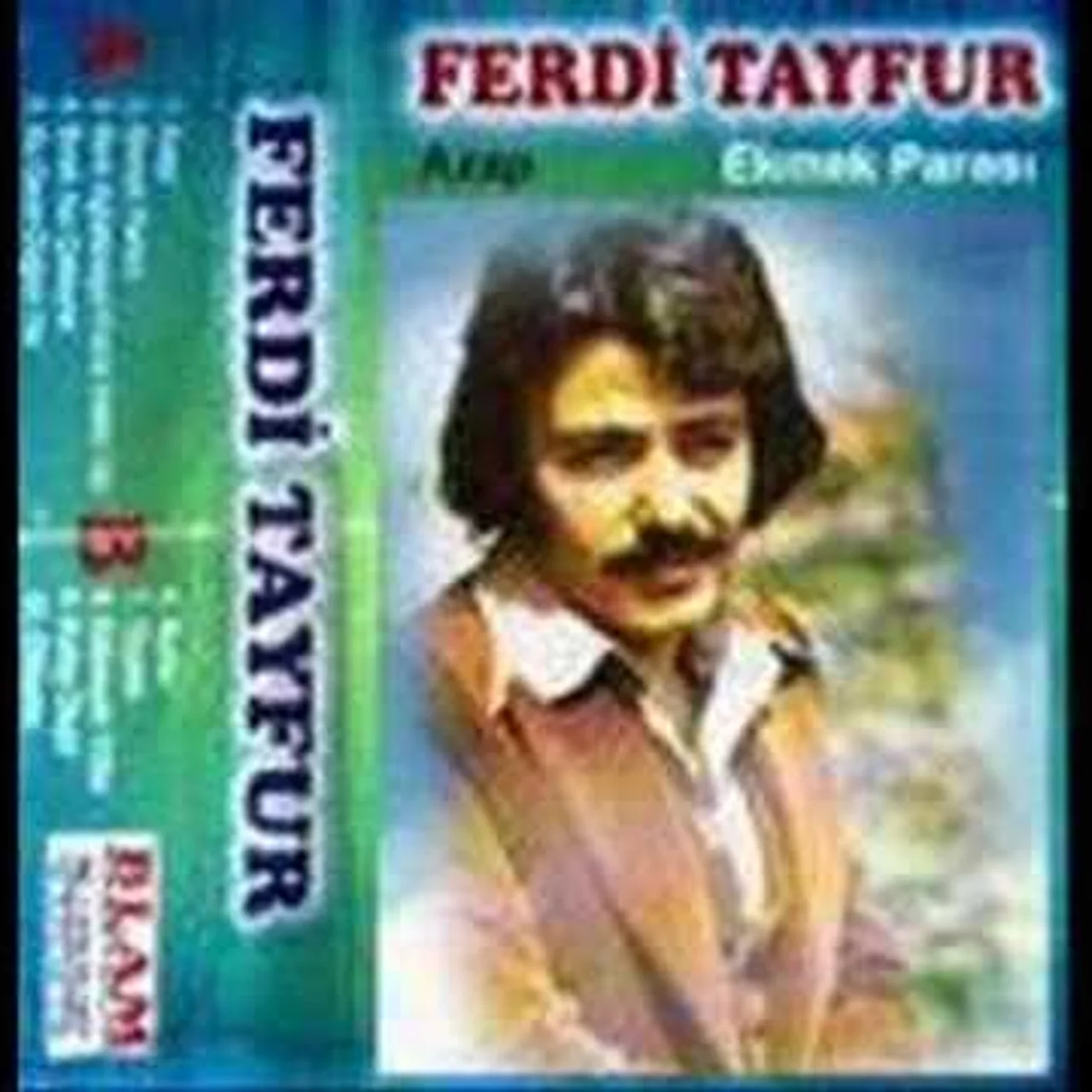 Ferdi Tayfur - Garip